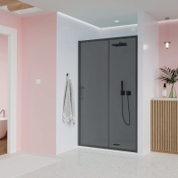 Душевая дверь раздвижная E1-GR-110-12-C9 1100x1950 Цвет профиля Графит брашинг Стекло  Тонированное матовое Veconi