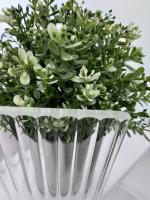 Перегородка для душа RGW WA-08W 100*195 06100810-155 профиль Белый стекло Ribbed 8 мм RGW